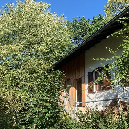 Waldhaus Sommerau エクステリア 写真